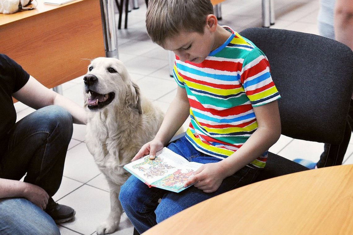 Дети читают собаке. Лабрадор канистерапия. Канистерапия с собаками. Собака в библиотеке. Канистерапия для детей.