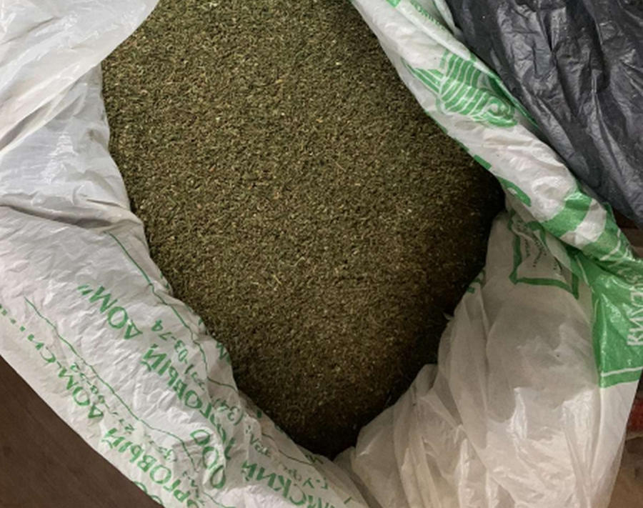 Сторож-наркоман. У жителя Магнитогорска нашли более 3 кг марихуаны