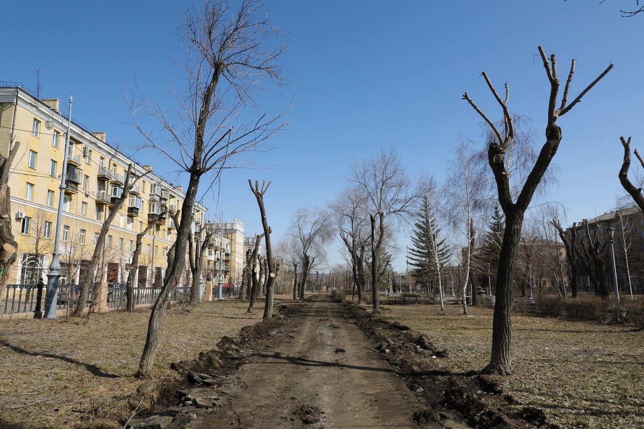 Зачем нужна обрезка деревьев, объяснили жителям Магнитогорска