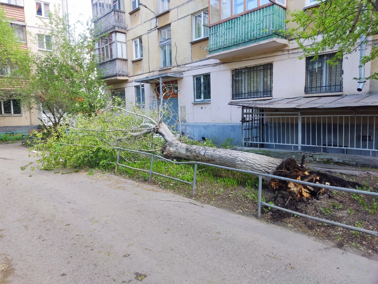 Сильная буря массово повалила деревья и сорвала крыши в Магнитогорске