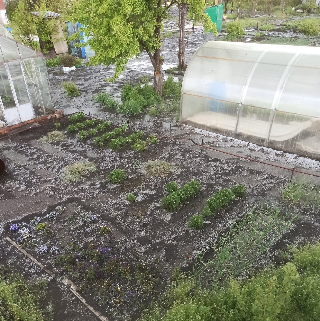 Обильный град в Магнитогорске сняли на видео садоводы